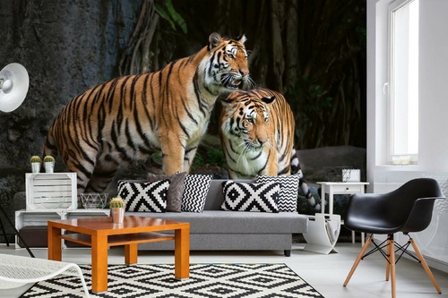 Vlies Fototapete - Bengalischer Tiger 375 x 250 cm